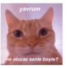 Love yani aşk 18