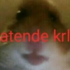 Palitos 13