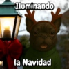 Navidad Bulldog templates🐾🎄✨ 17