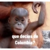 Que peruano😸👉 29
