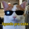 Você vai amar essas 🤣 8