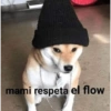 mami respeta el flow