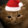 Navidad  7