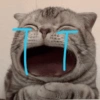 Sad cats and kittens 😭 14