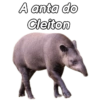 Amigos 20