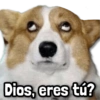 Dios, eres tú?
