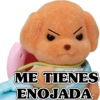 ME TIENES ENOJADA