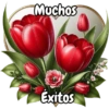 Tulipanes para toda ocasión 🌷 17
