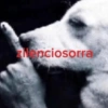 Zilenciosorra