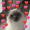 Eu só quero você 🥰❤️ 12