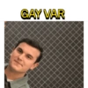 GAY VAR