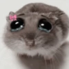 🐀 Sad Rat 🐀🐀 Meme 🐀 12