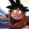 Goku  20