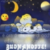Buonanotte  11