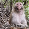 Rizzo, não pegue  18
