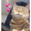 Gatitos 9