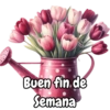 Tulipanes para toda ocasión 🌷 22