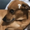 Meme 😐 7