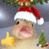 REAÇÕES NATALINAS🎄🎁☃️ 14