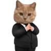 Kucing icon meme 7