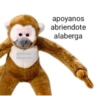 Daily reactions personals 7