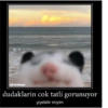 Love yani aşk 24