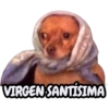 STICKERS PERROS SIN CONTEXTO🐶 5