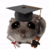 🐀 Sad Rat 🐀🐀 Meme 🐀 20