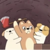 Doogy 15