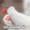 ✨❤️Amor para ti 5✨❤️ 12