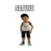 SETUJU