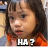 HA?