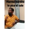 Miarma mardito te pica el culo Gracias