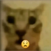 Meme random kocak 18