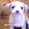 11:11 Rigsboy00 Igual ya me enojé