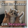 Love yani aşk 30