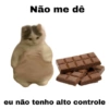 Meme gatos 5