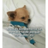 A veces simplemente se me hace tarde porque me quedo así