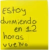 Estoy durmiendo en 12 horas vuelvo
