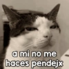 a mi no me haces pendejx