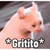 Gatitos Reacciones 3.0  11