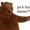 Gatosss 10