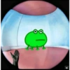 Rana de Peppa pig 2 18
