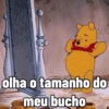 olha o tamanho do meu bucho
