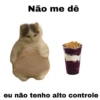 Meme gatos 10