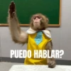PUEDO HABLAR?