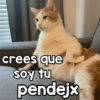 crees que Soy tu pendejx