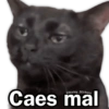 💥MEMES QUE NECESITAS💥 1 9