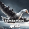 bombombini gusini