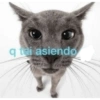 Nao 19